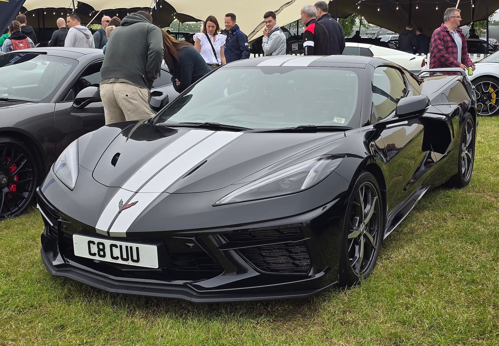 C8 Stingray privatleasing